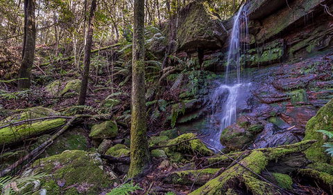 Coorabakh National Park - Maitland Accommodation 0