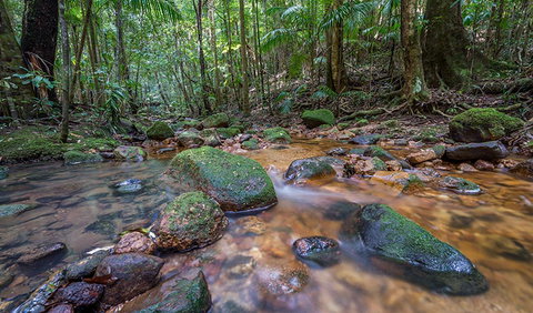 Coorabakh National Park - Maitland Accommodation 1