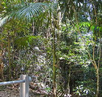 Goorgana walking track - Maitland Accommodation