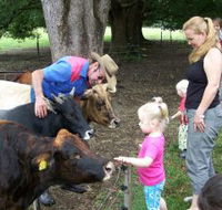 Crystal Creek Miniatures - Maitland Accommodation