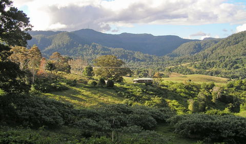 Mount Nardi Picnic Area - Maitland Accommodation 0