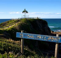 One Tree Point Lookout and Picnic Area - Maitland Accommodation