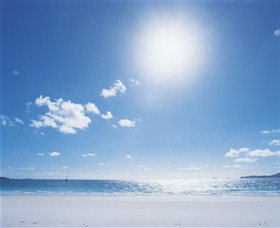 Hawks Nest Beach - Maitland Accommodation 0