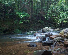 Protesters Falls - Maitland Accommodation 1