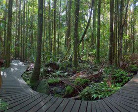 Protesters Falls - Maitland Accommodation 4