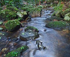 Protesters Falls - Maitland Accommodation 7