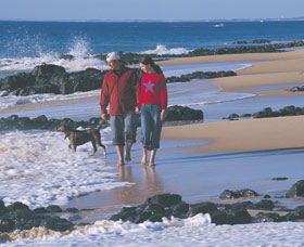 Back Beach - Maitland Accommodation 0