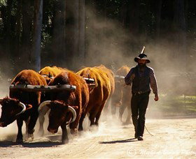 Timbertown Heritage Theme Park - Maitland Accommodation 1