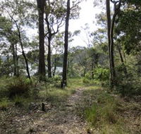 Ringlands Rotary Walk Narooma - Maitland Accommodation