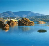 Wagonga Picnic Area - Maitland Accommodation