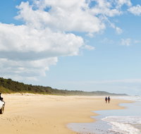 Bongil Bongil National Park - Maitland Accommodation