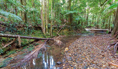 Ulidarra National Park - Maitland Accommodation 0