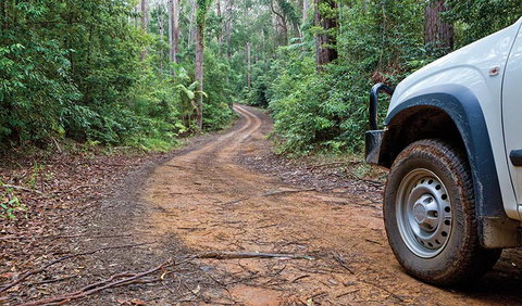 Ulidarra National Park - Maitland Accommodation 2