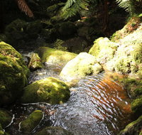 South East Forests National Park - Maitland Accommodation