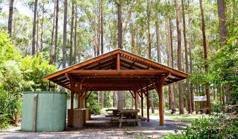 Bongil Picnic Area - Maitland Accommodation 0