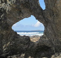 Glasshouse Rocks and Pillow Lava - Maitland Accommodation