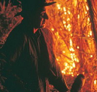 The Shed Gallery - Maitland Accommodation