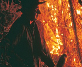 The Shed Gallery - Maitland Accommodation 0