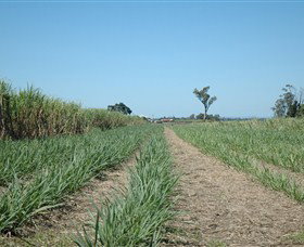 The Shed Gallery - Maitland Accommodation 1
