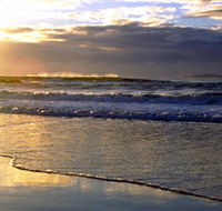 Handkerchief Beach Picnic Area - Maitland Accommodation