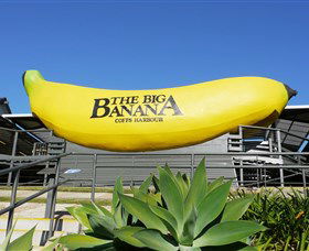 The Big Banana - Maitland Accommodation 0