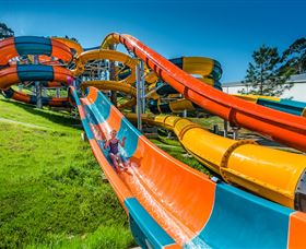 The Big Banana - Maitland Accommodation 6