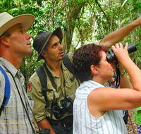 Falls walking track - Maitland Accommodation