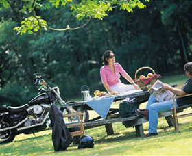 Victoria Park Nature Reserve - Maitland Accommodation 2