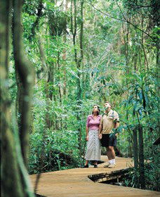 Victoria Park Nature Reserve - Maitland Accommodation 1