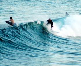 Coffs Coast State Park - Maitland Accommodation 1