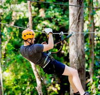 TreeTop Challenge Currumbin - Maitland Accommodation