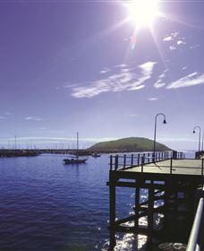 Coffs Harbour Marina And Jetty Area - Maitland Accommodation 0
