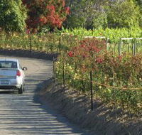 Cassegrain Wines - Maitland Accommodation
