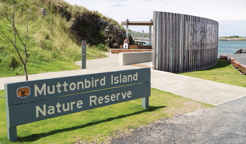 Muttonbird Island Outdoor Learning Space - Maitland Accommodation 0