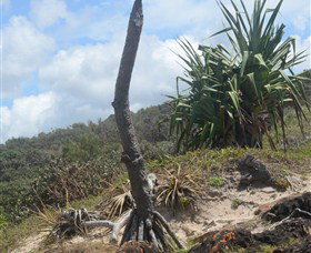 Chinamans Beach Evans Head - Maitland Accommodation 2