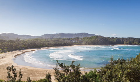 Coffs Coast Regional Park - Maitland Accommodation 0