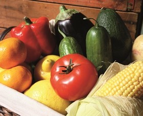 Summerland House Farm - House With No Steps - Maitland Accommodation 1