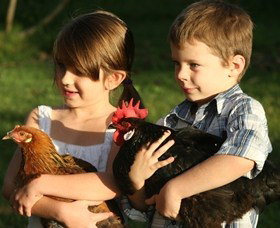 Summerland House Farm - House With No Steps - Maitland Accommodation 2