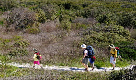 Yuraygir Coastal Walk - Maitland Accommodation 0