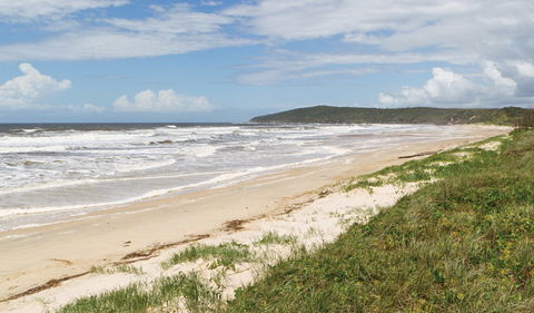 Yuraygir Coastal Walk - Maitland Accommodation 1