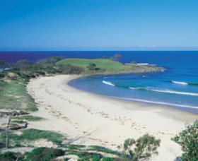 Angourie Beach - Maitland Accommodation 1