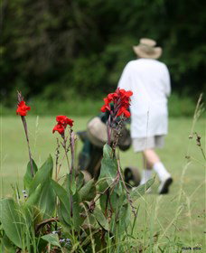 Teven Valley Golf Course - Maitland Accommodation 3