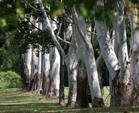 Teven Valley Golf Course - Maitland Accommodation 1