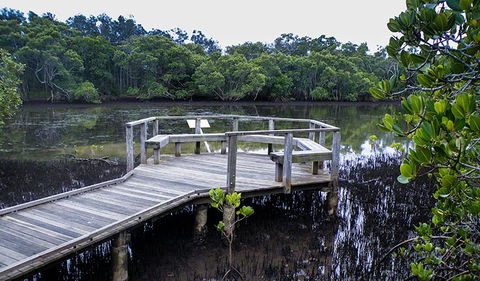 Walk On Water Walking Track - Maitland Accommodation 0