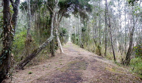 Walk On Water Walking Track - Maitland Accommodation 2