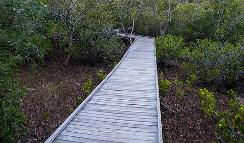 Walk On Water Walking Track - Maitland Accommodation 3