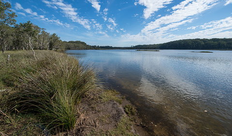 Lake Innes Nature Reserve - Maitland Accommodation 1