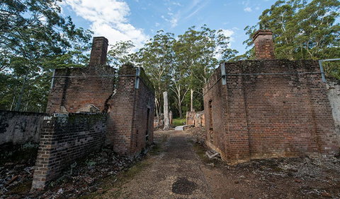 Lake Innes Nature Reserve - Maitland Accommodation 2