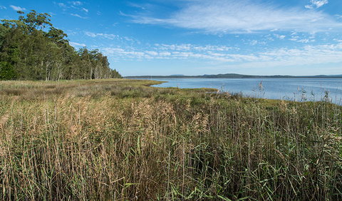 Lake Innes Nature Reserve - Maitland Accommodation 3