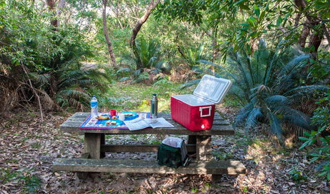 Broadwater Beach Picnic Area - Maitland Accommodation 0
